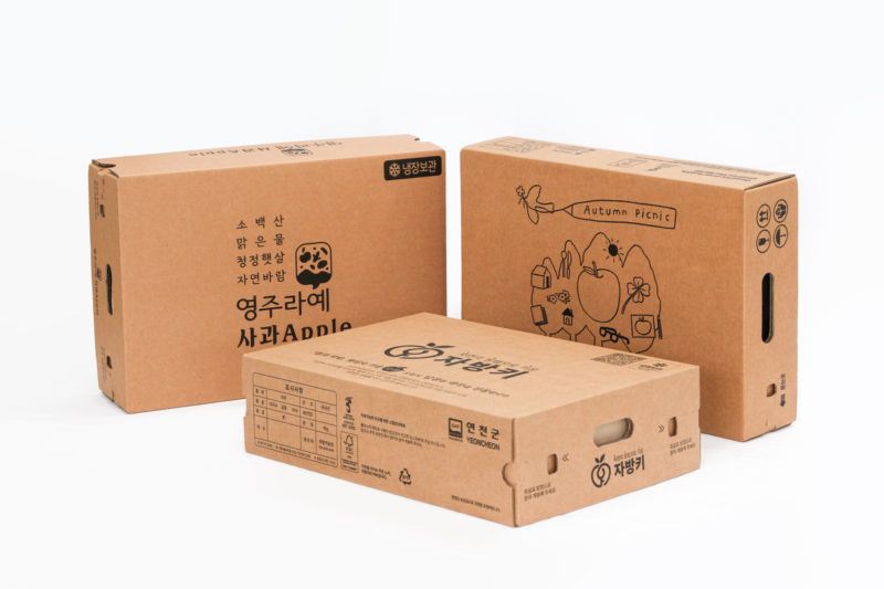 과일박스: 다양한 종류와 맞춤형 옵션 소개